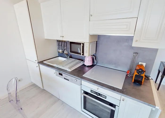 3 Pieces Climatise Avec Terrasse, Garage Et Wifi A - Fr-1-196-342